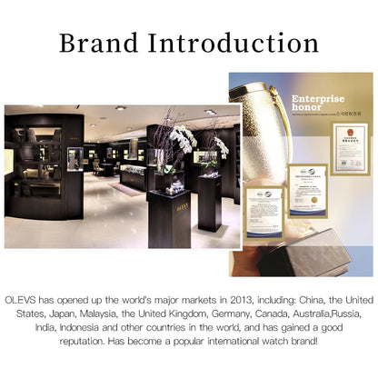 OLEVS 5877 Japan Quartz Women Watch